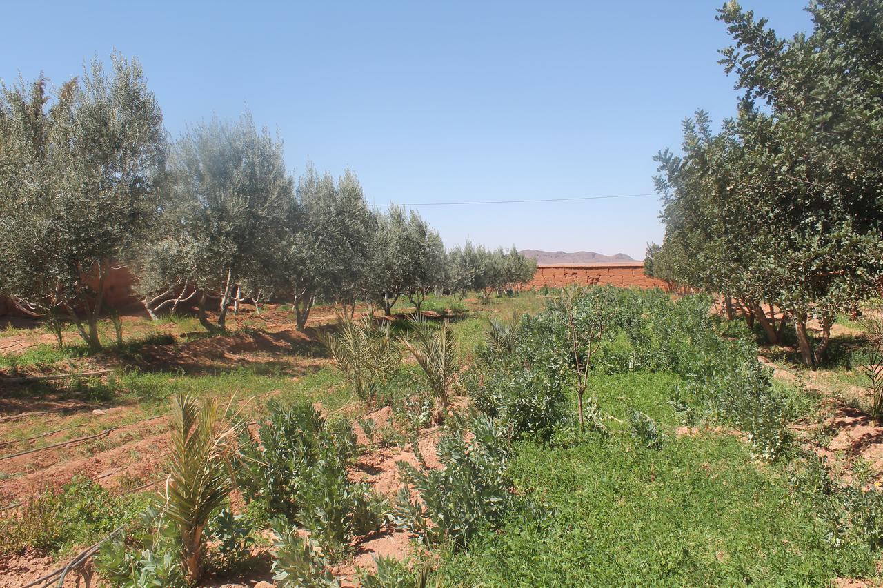 Dar Alfourssane Ferme D'Hote Ouarzazate Luaran gambar