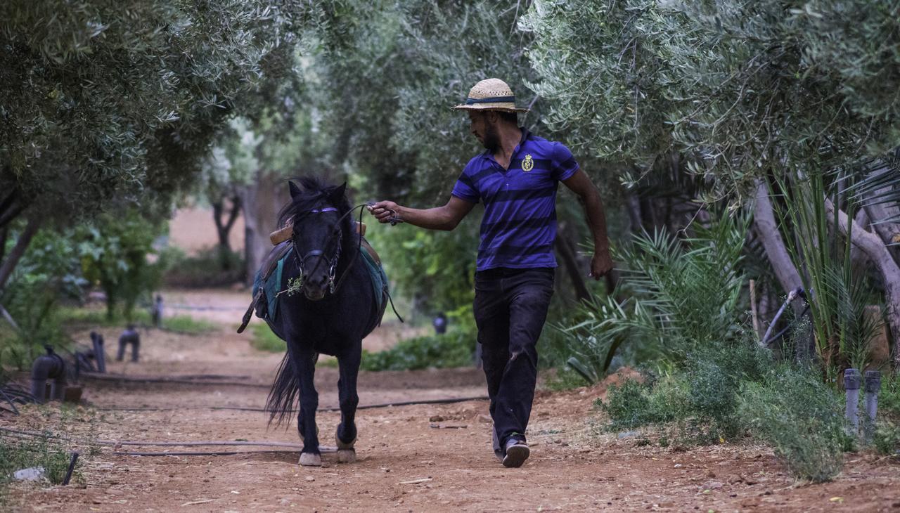 Dar Alfourssane Ferme D'Hote Ouarzazate Luaran gambar