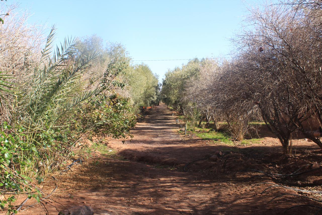 Dar Alfourssane Ferme D'Hote Ouarzazate Luaran gambar